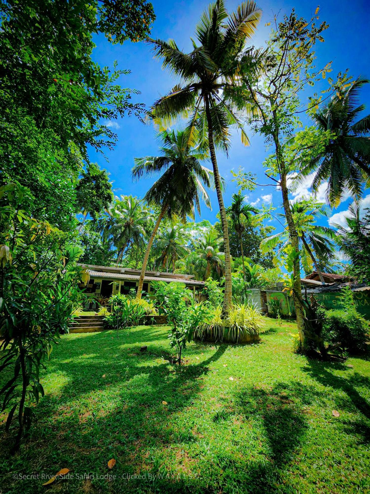 Secret River Side Safari Lodge ウダワラウェ エクステリア 写真