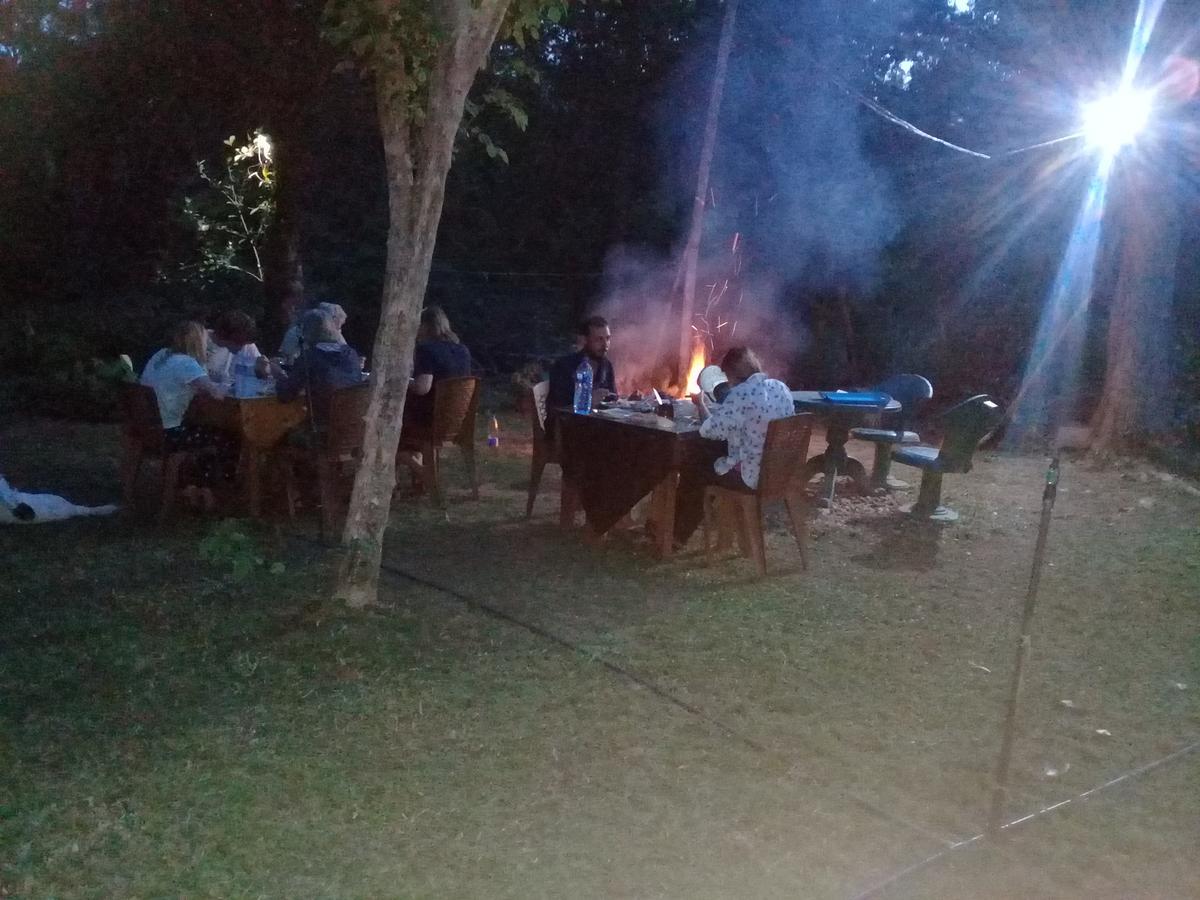 Secret River Side Safari Lodge ウダワラウェ エクステリア 写真